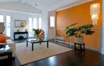 interior painting contractor