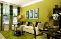 house painting service